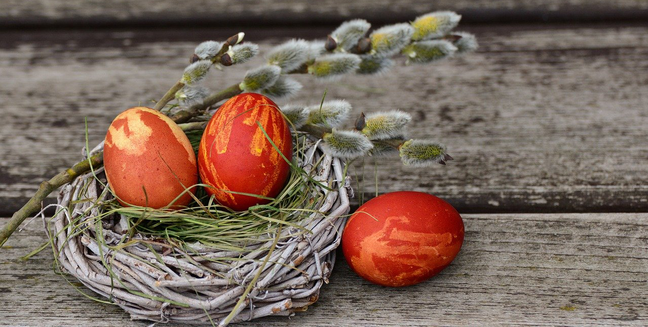 Ostereier im Nest und Palmkätzchen