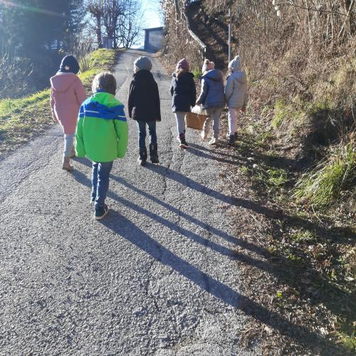 Auf dem Weg in den Wald.