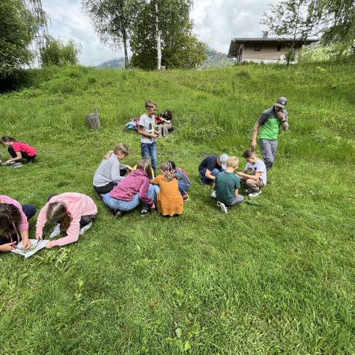 Klimaschule 8