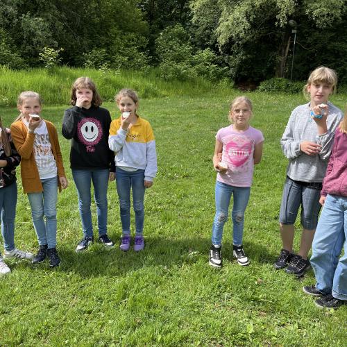 Klimaschule 10
