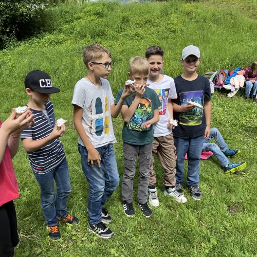 Klimaschule 12
