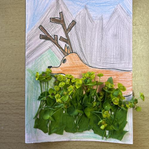 Klimaschule 14