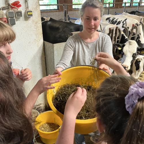 Besuch auf dem Bauernhof 12