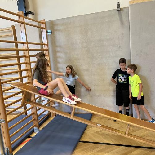 Atelier Dschungel 5