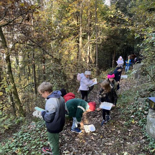 Schatzsuche im Wald 2