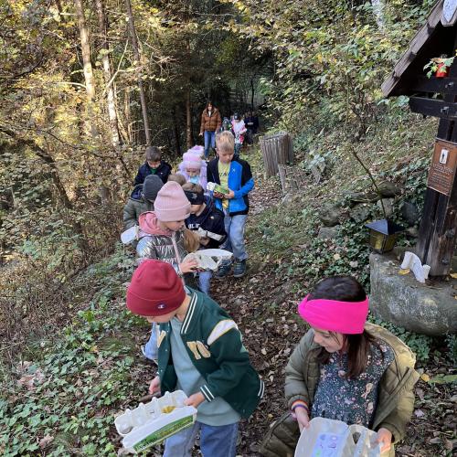 Schatzsuche im Wald 3