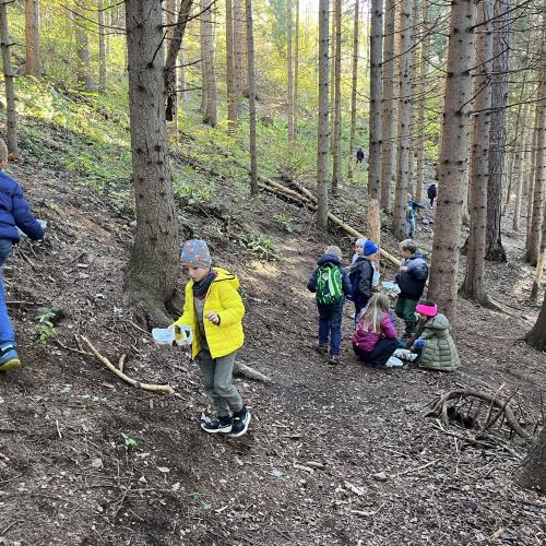 Schatzsuche im Wald 5