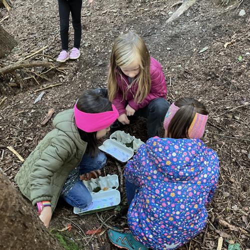 Schatzsuche im Wald 4
