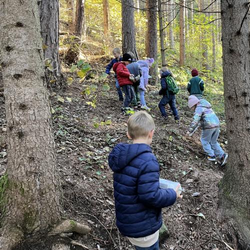 Schatzsuche im Wald 6