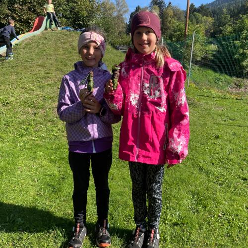 Wandertag 3a 4a 3