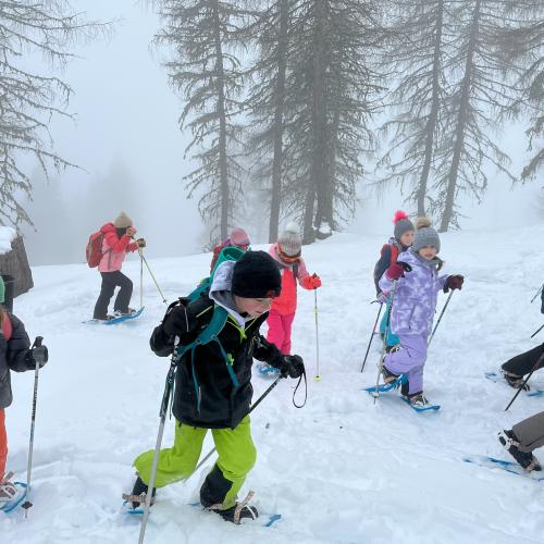 Schneeschuhwandern 2