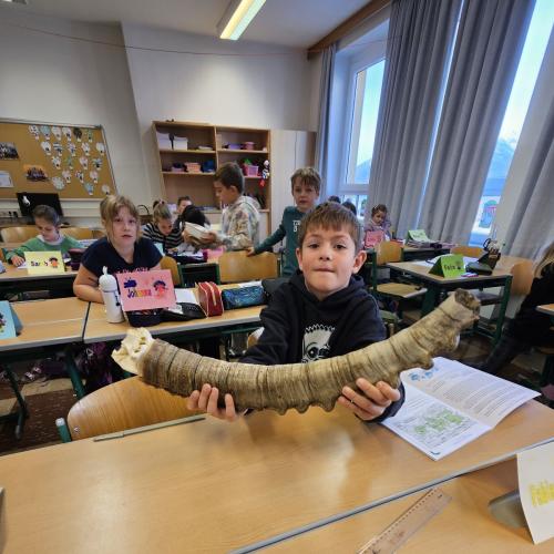 Kinder untersuchen Gegenstand