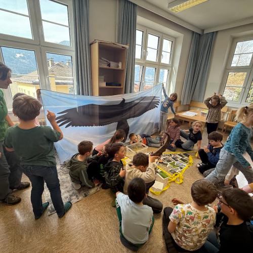 Kinder und Rangerin schauen sich Tierpräparate und Fotos an