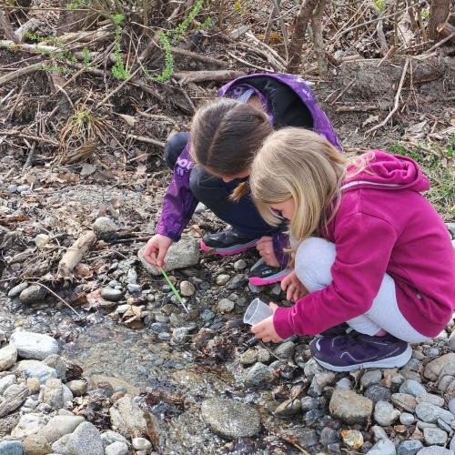 Kinder suchen Wassertiere