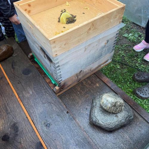 Bienenstock