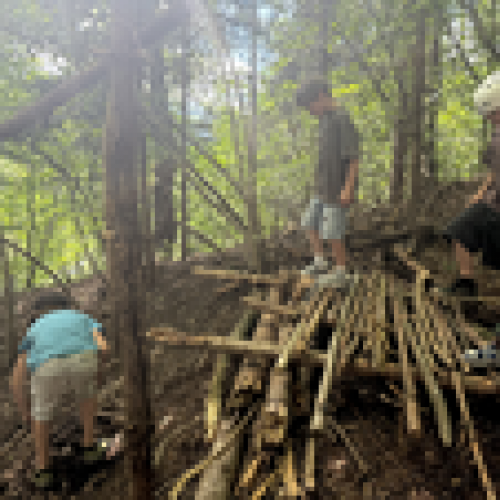 Kinder bauen mit Ästen eine Hütte