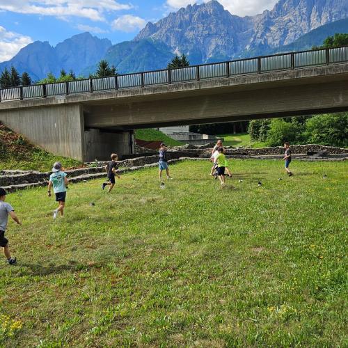 Kinder suchen ihre Schuhe auf der Wiese