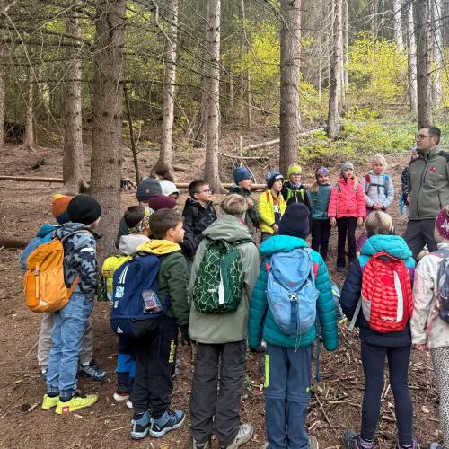 Kinder stehen im Kreis und hören dem Waldaufseher zu