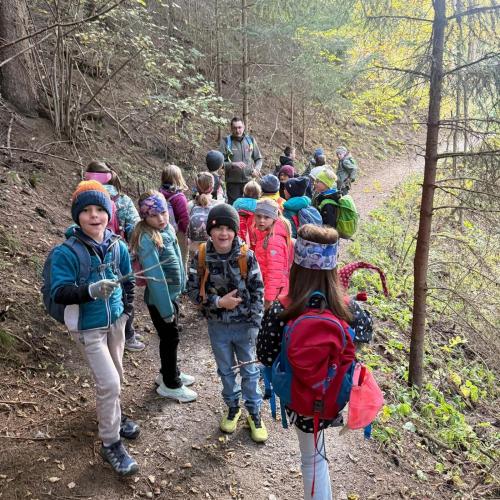 Kinder gehen mit Waldaufseher auf Waldweg