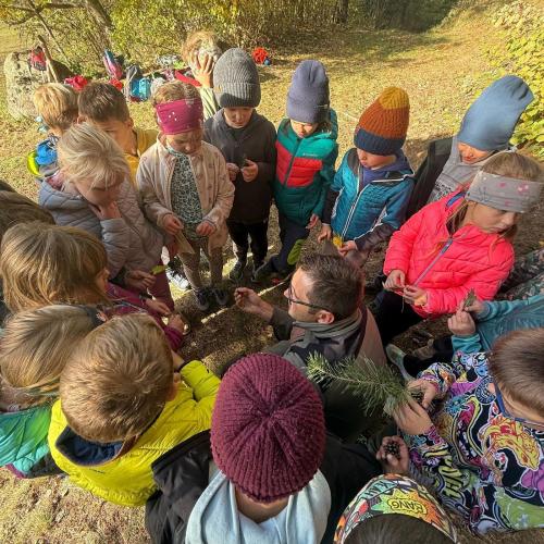 Kinder stehen um Waldaufseher und betrachten Zweige und Blätter