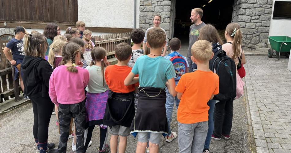 Besuch auf dem Bauernhof Greil