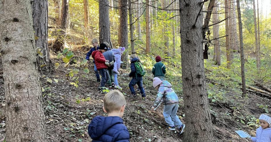 Schatzsuche im Wald 1