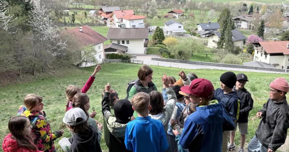 Rangerin erklärt Kindern am Waldrand Blumen