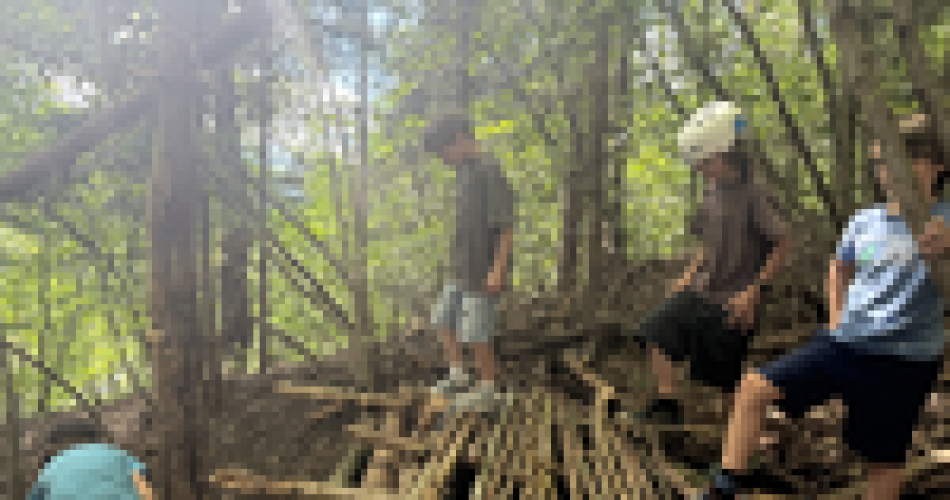 Kinder bauen mit Ästen im Wald